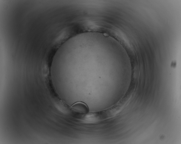 X0000103410173200809121313