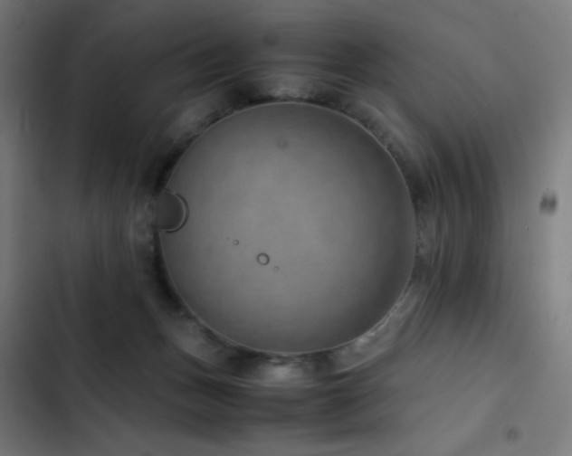 X0000103410175200809121313