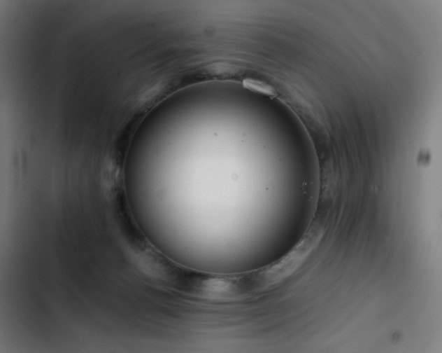 X0000103410176200809121313