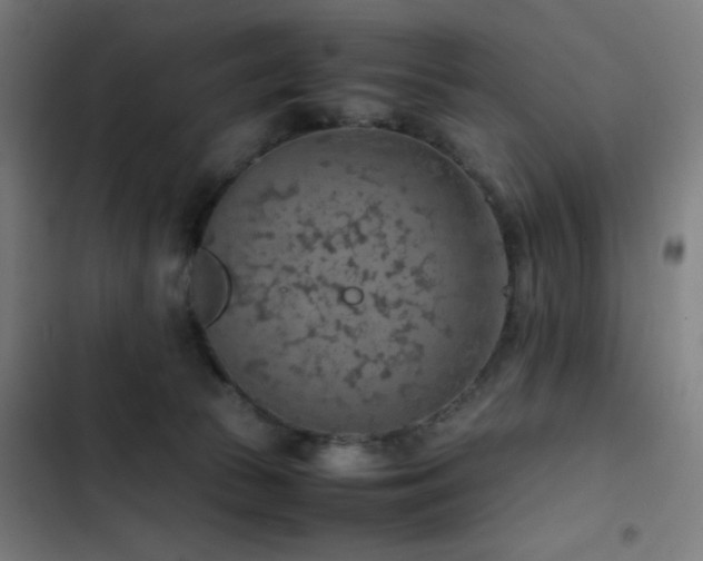 X0000103410177200809121314