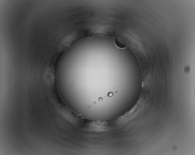 X0000103410179200809121314