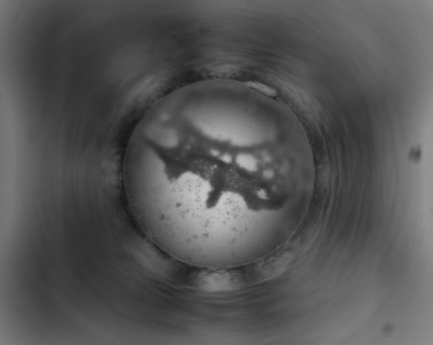 X0000103410181200809121314