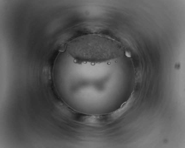 X0000103410182200809121314