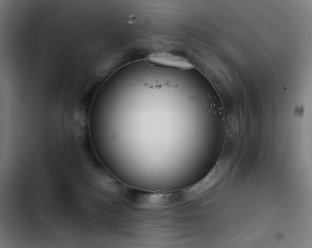 X0000103410184200809121314