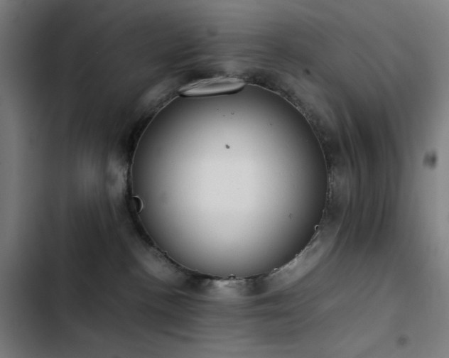 X0000103410188200809121314