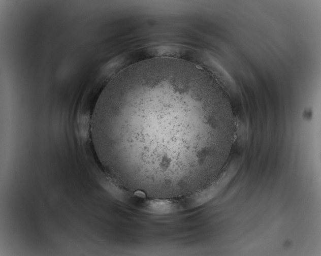 X0000103410189200809121314