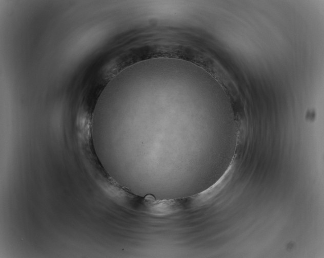 X0000103410191200809121314