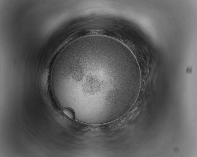 X0000103410194200809121313