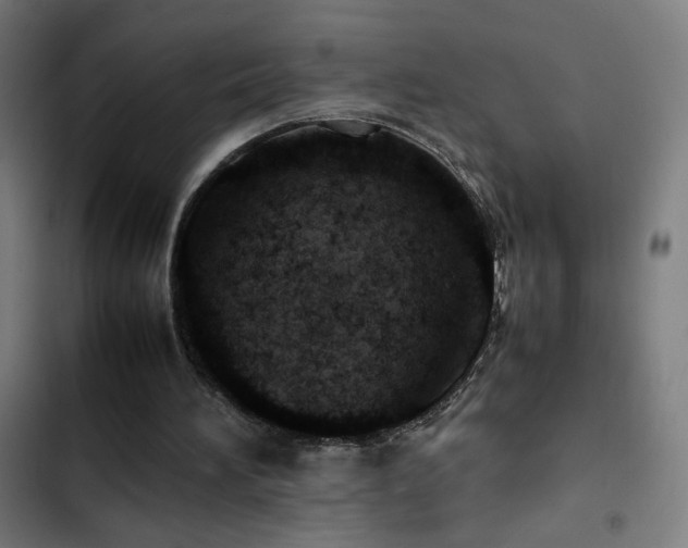 X0000103410196200809121313