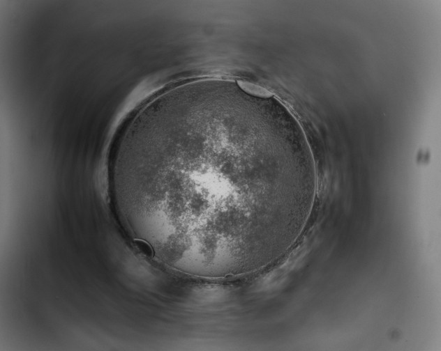 X0000103410198200809121313