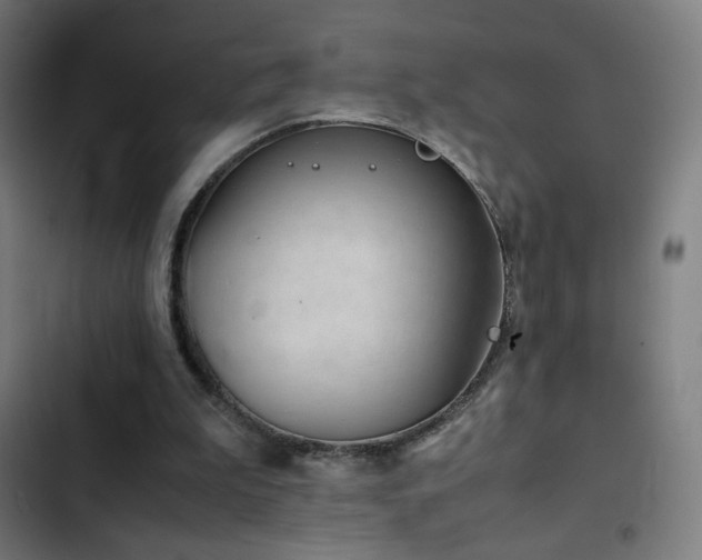 X0000103410199200809121313