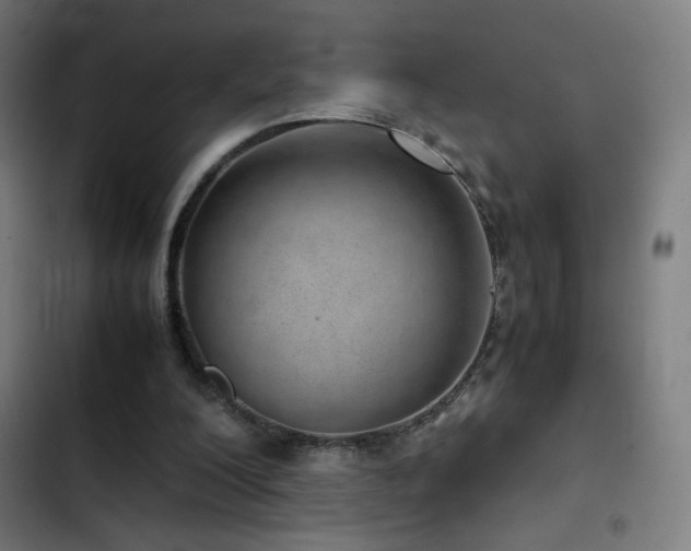 X0000103410200200809121313