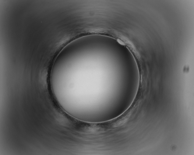 X0000103410201200809121313