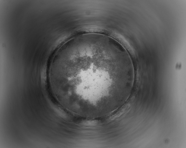 X0000103410202200809121313