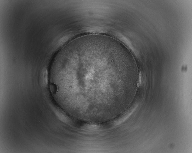 X0000103410205200809121313