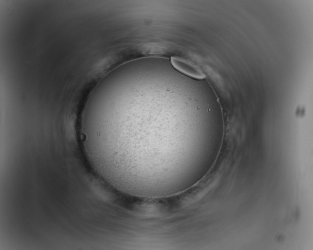 X0000103410209200809121313