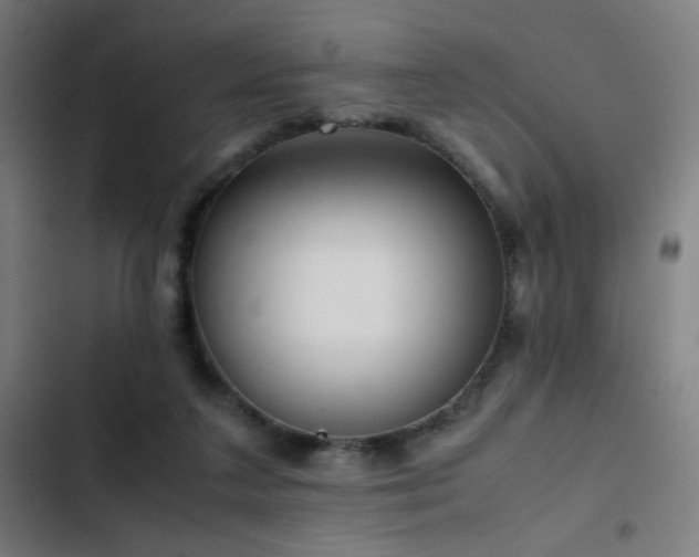 X0000103410211200809121313