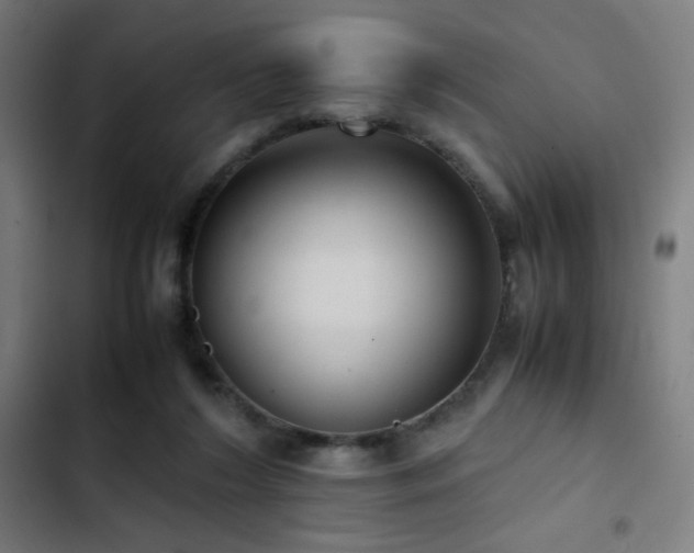 X0000103410212200809121313