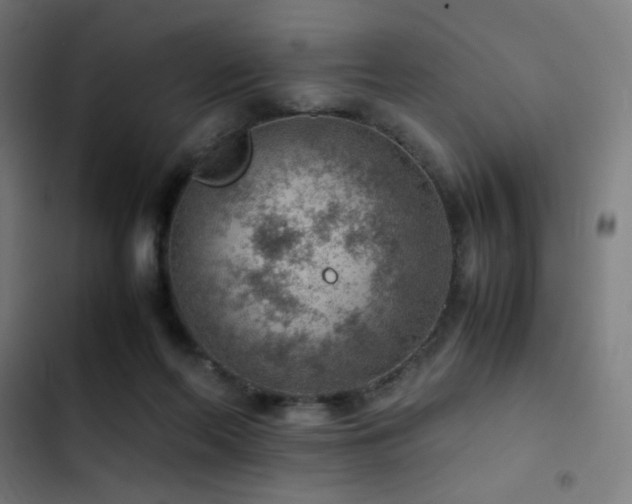 X0000103410214200809121313