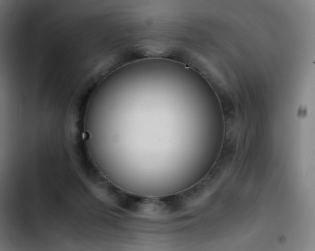 X0000103410215200809121313