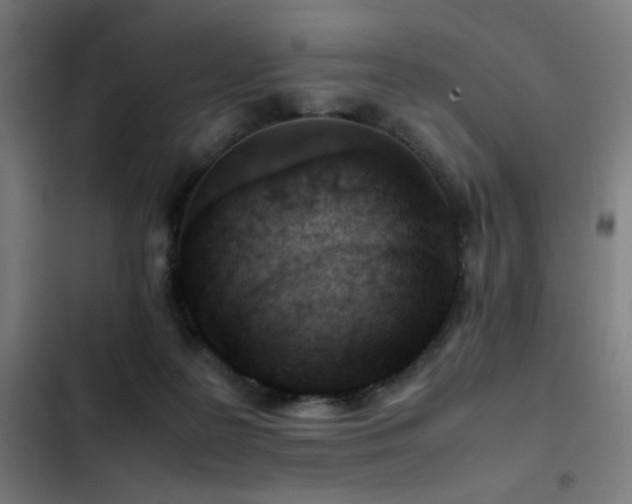 X0000103410219200809121313