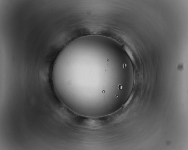 X0000103410221200809121313