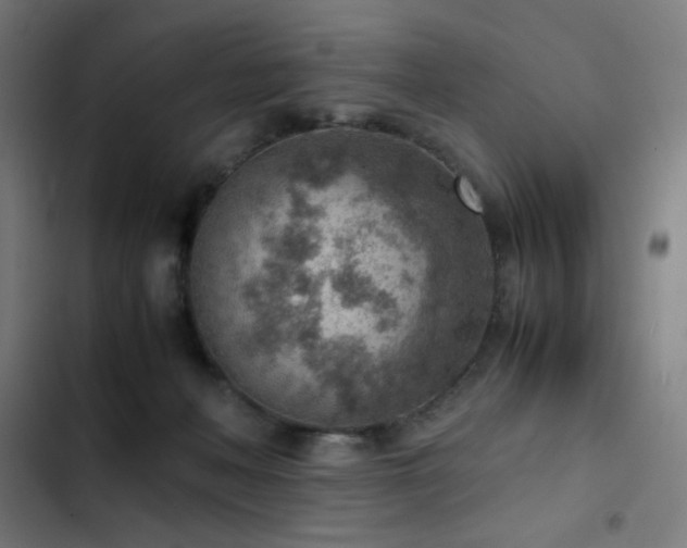 X0000103410222200809121313