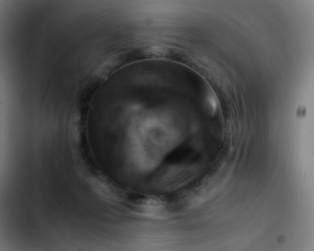 X0000103410223200809121313