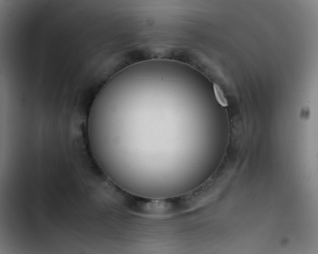 X0000103410225200809121313