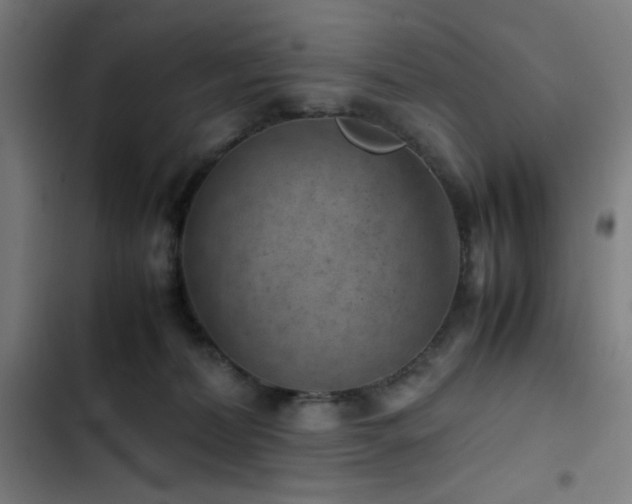 X0000103410228200809121313