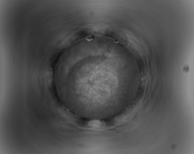 X0000103410231200809121312