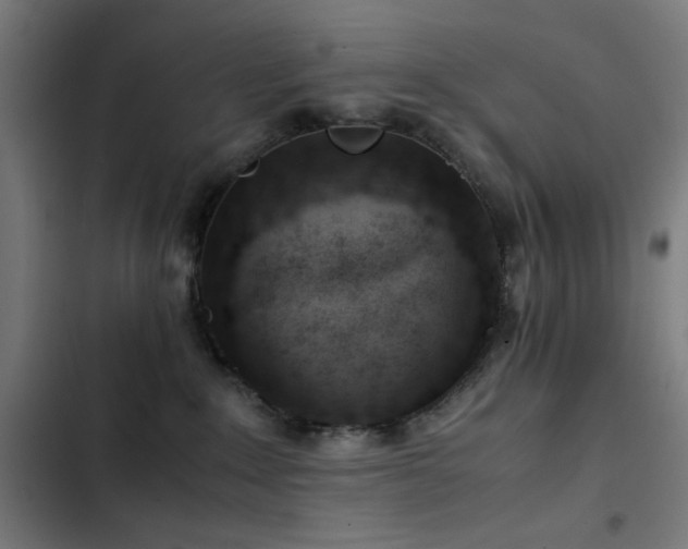 X0000103410235200809121312