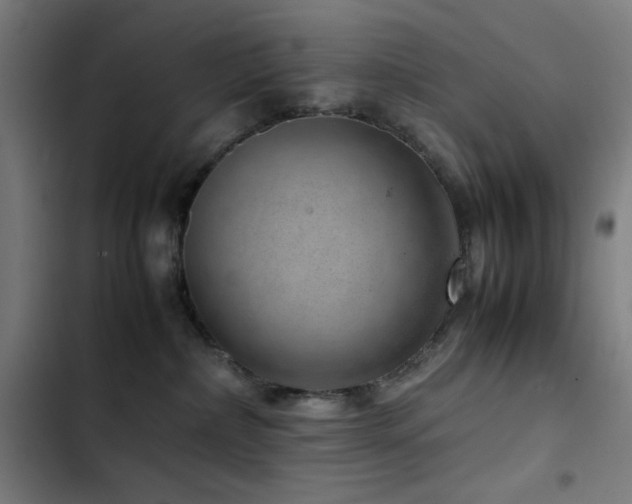 X0000103410236200809121312