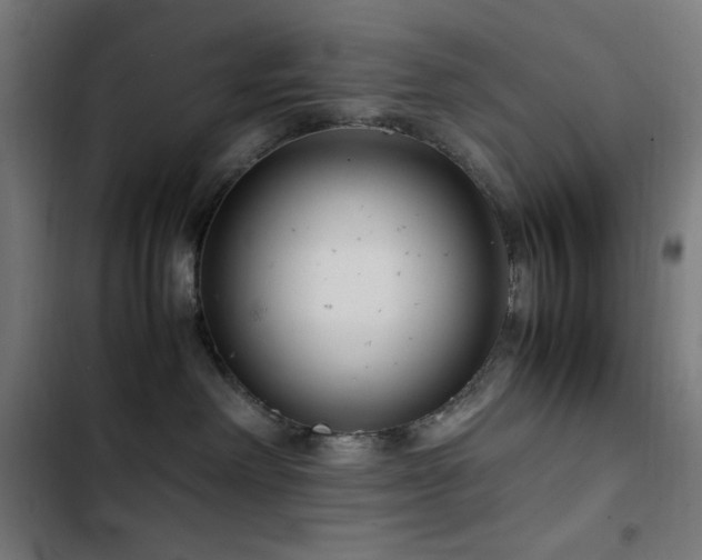 X0000103410238200809121312