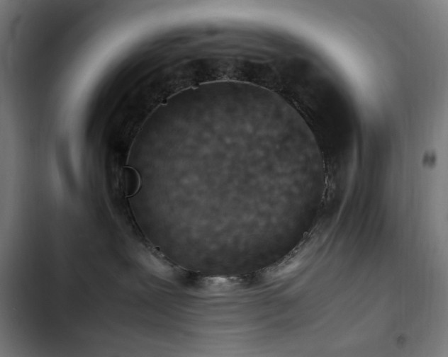 X0000103410239200809121312