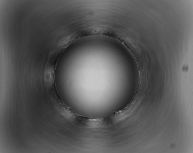 X0000103410240200809121312