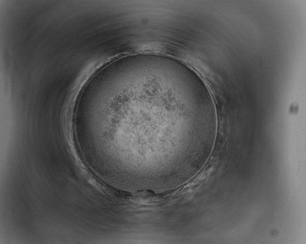 X0000103410241200809121312