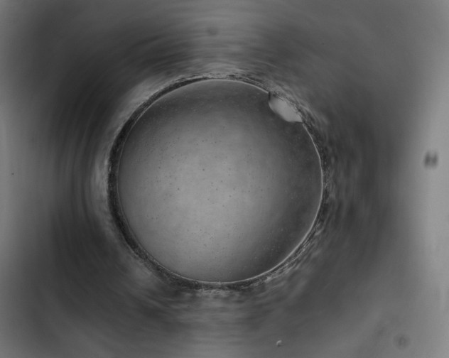 X0000103410242200809121312