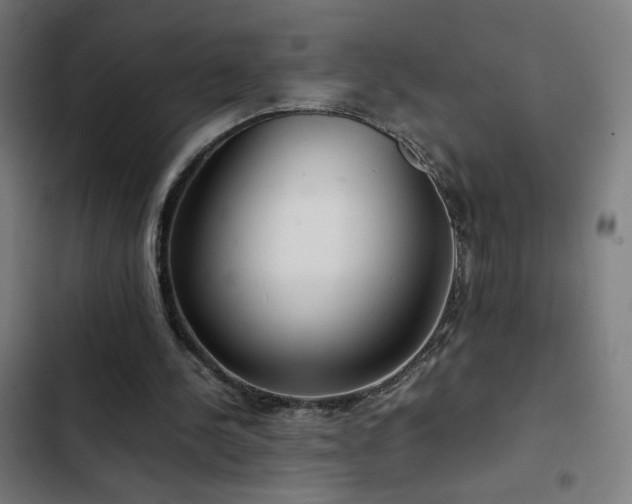 X0000103410244200809121312