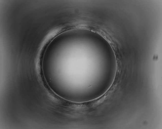 X0000103410245200809121312