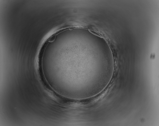 X0000103410246200809121312