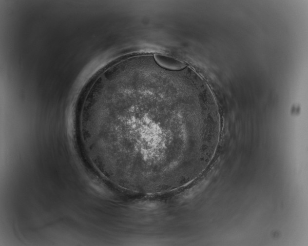 X0000103410247200809121312