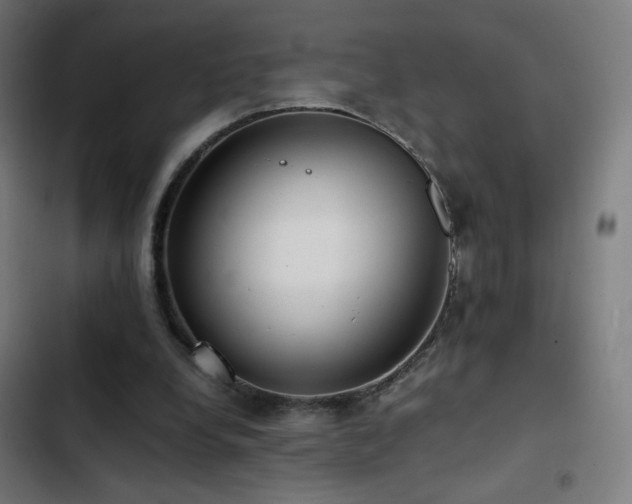 X0000103410248200809121312