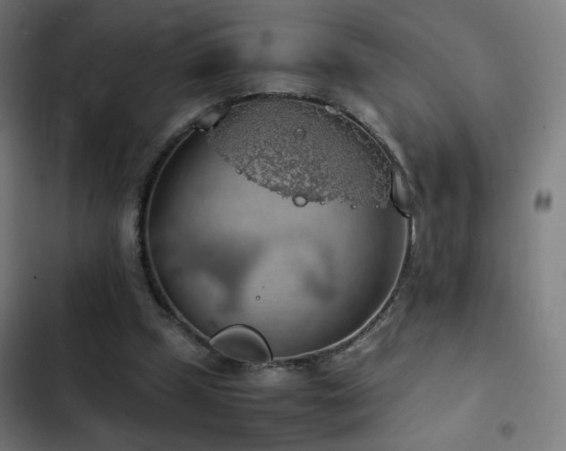 X0000103410249200809121312