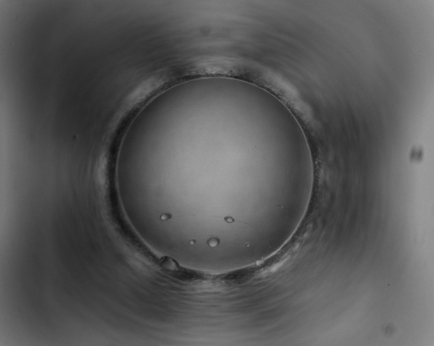 X0000103410250200809121312