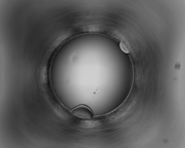 X0000103410251200809121312