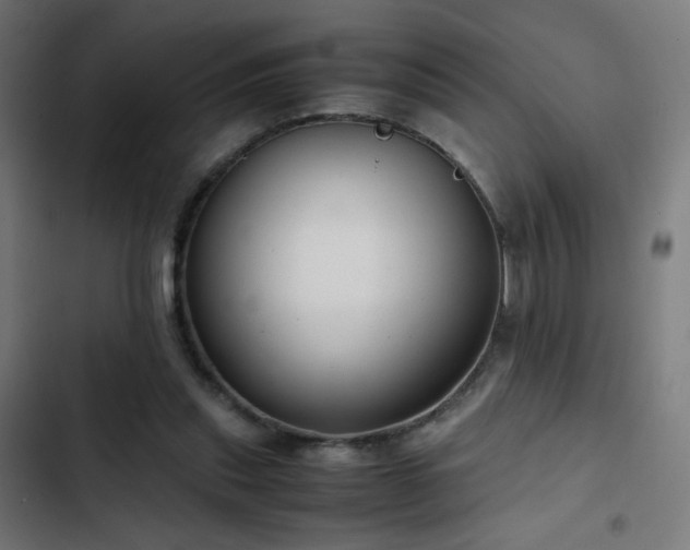 X0000103410253200809121312