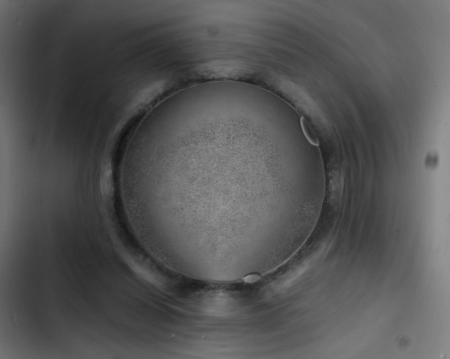 X0000103410254200809121312