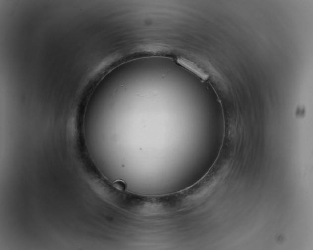 X0000103410256200809121312