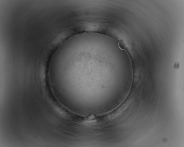 X0000103410257200809121312